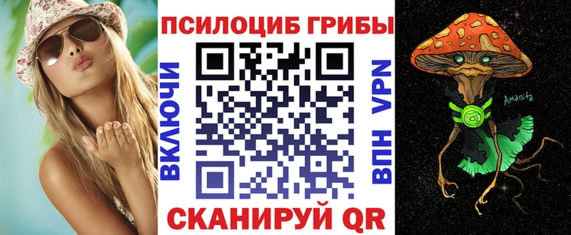 ОМГ ОМГ рабочий сайт где продают наркотики Шелехов Псилоцибиновые грибы Psilocybine cubensis